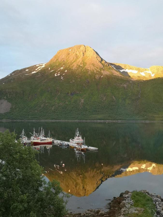 Ferienwohnung Waterfront Senja 2 Torsken Exterior foto