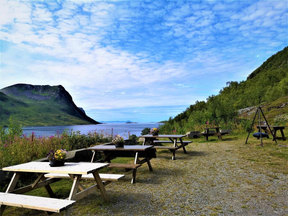 Ferienwohnung Waterfront Senja 2 Torsken Exterior foto