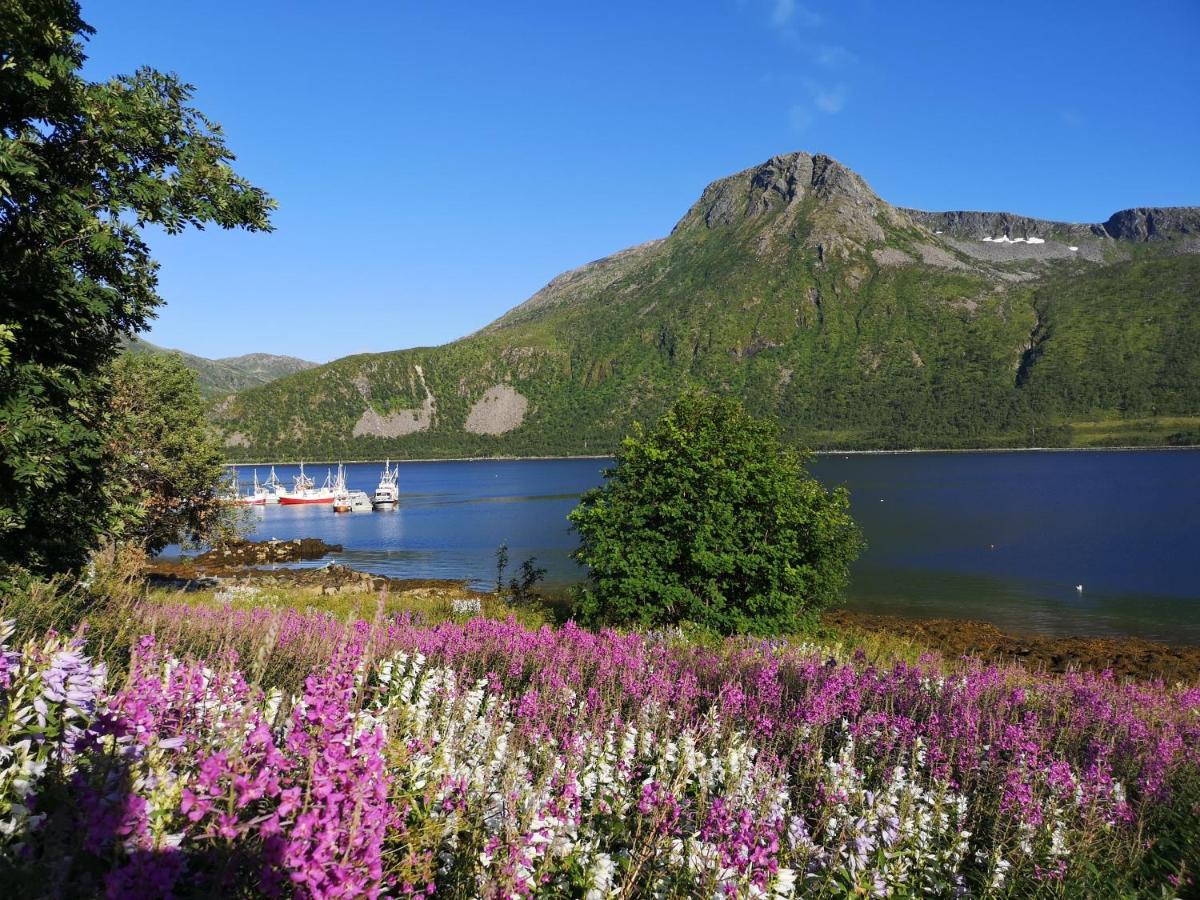 Ferienwohnung Waterfront Senja 2 Torsken Exterior foto